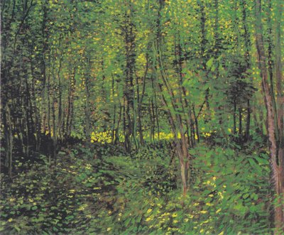 Bäume und Unterholz von Vincent van Gogh